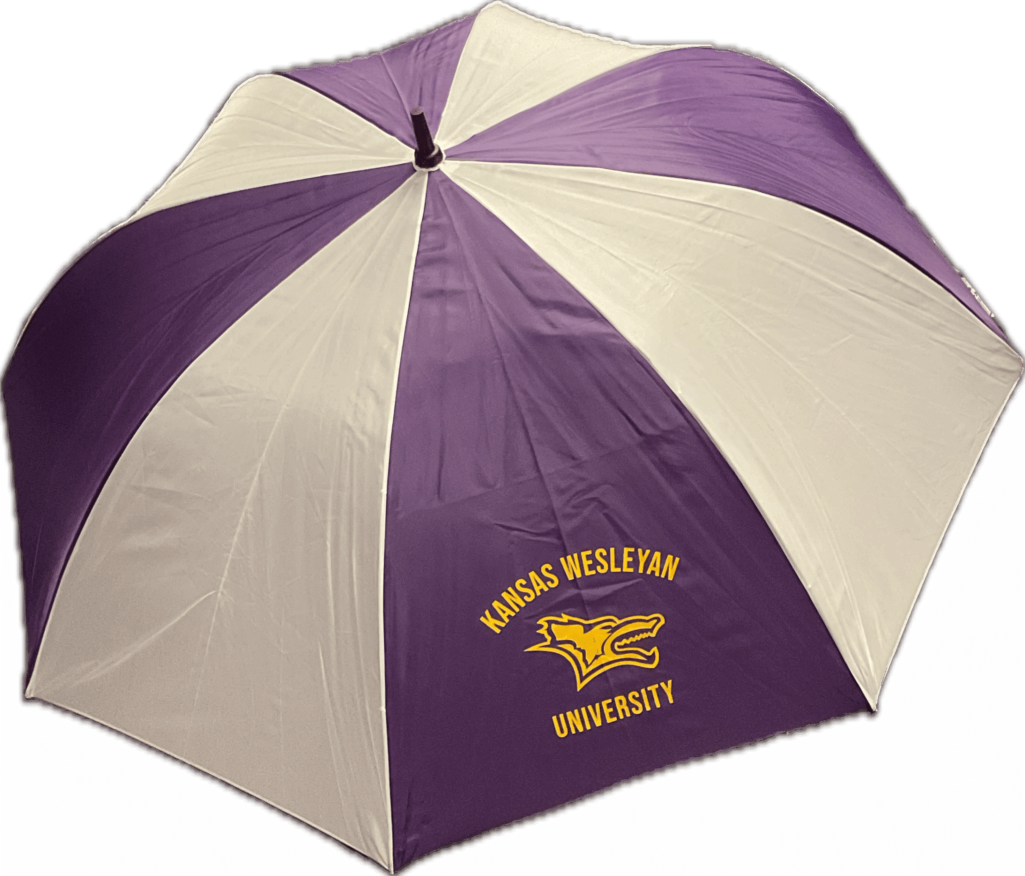 2025 Purple Umbrella