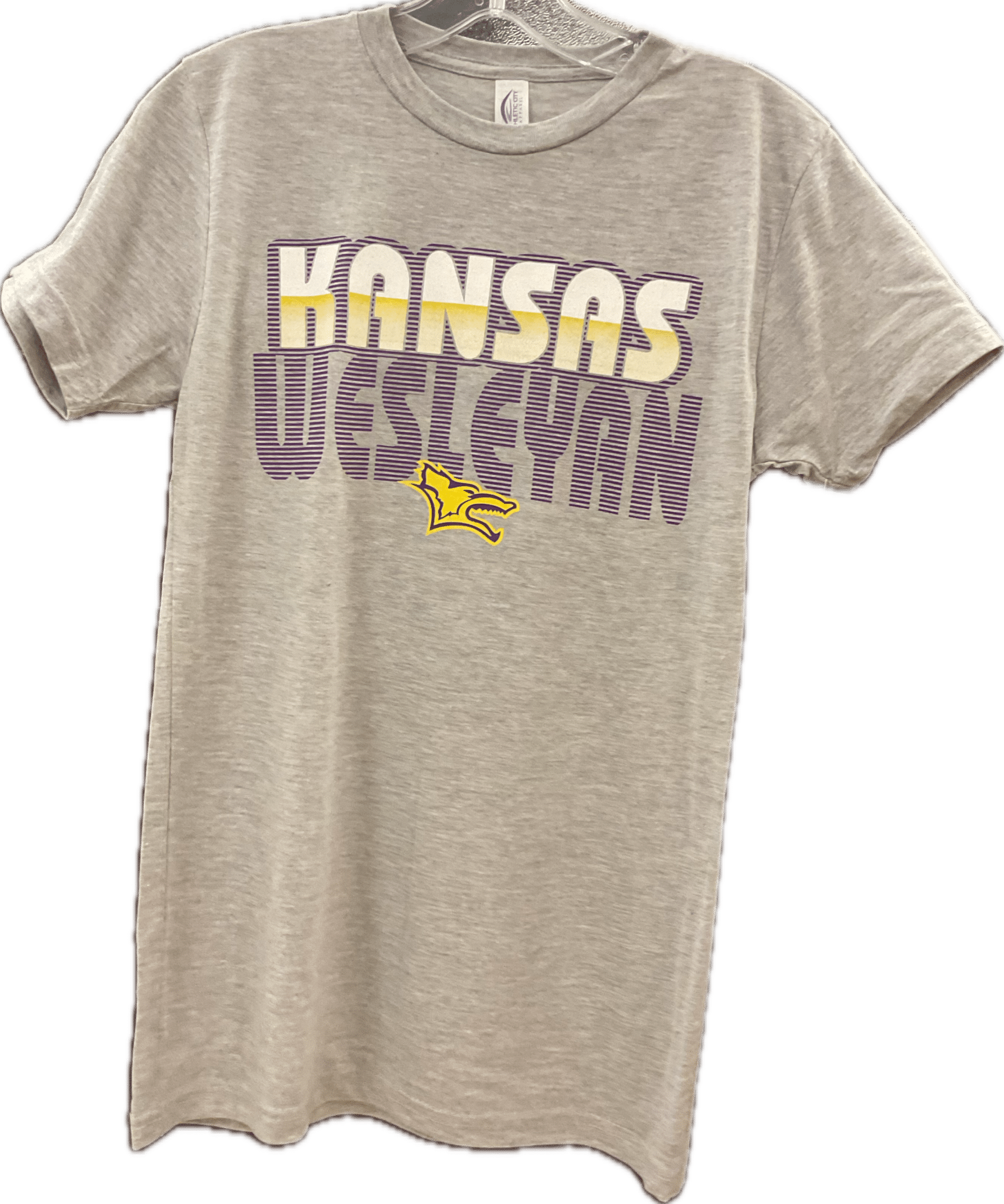 2026 Dakota Tri-Blend Tee Grey